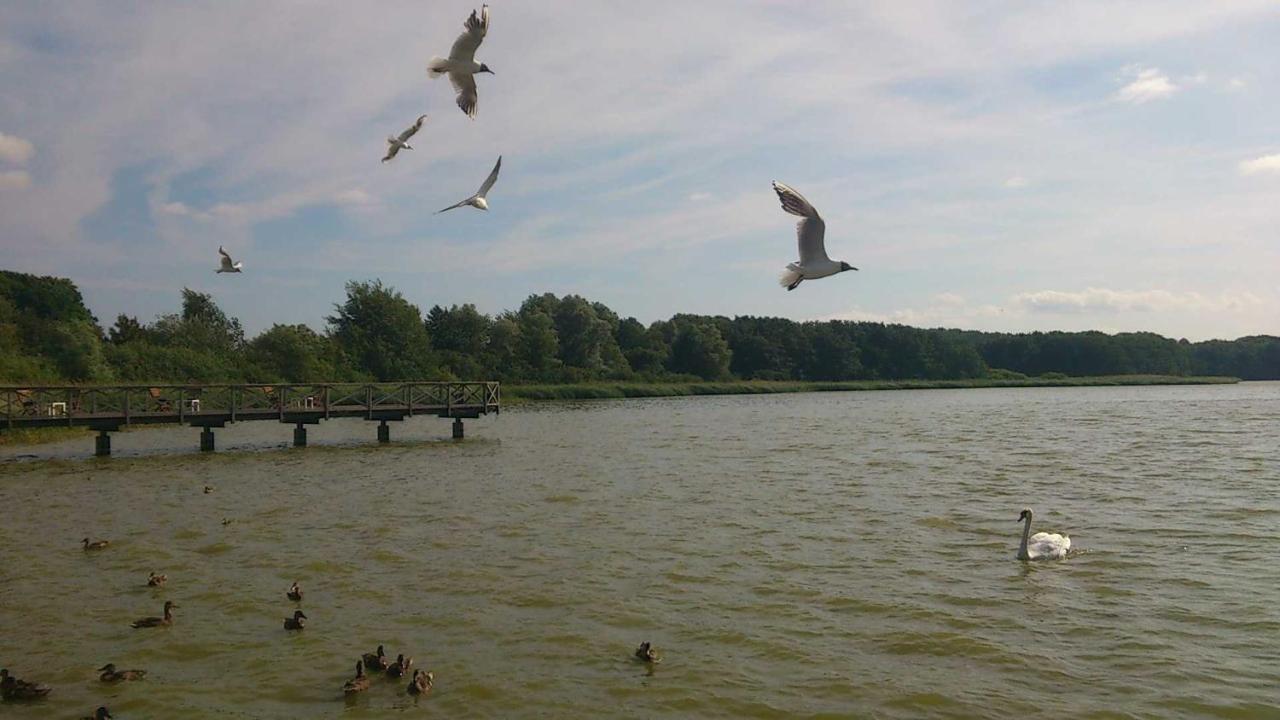 Top Ferienwohnungen Binz Granitzhof Bagian luar foto