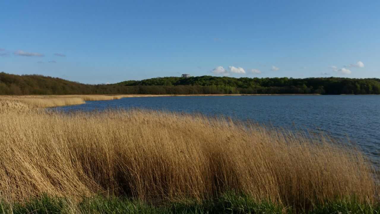 Top Ferienwohnungen Binz Granitzhof Bagian luar foto